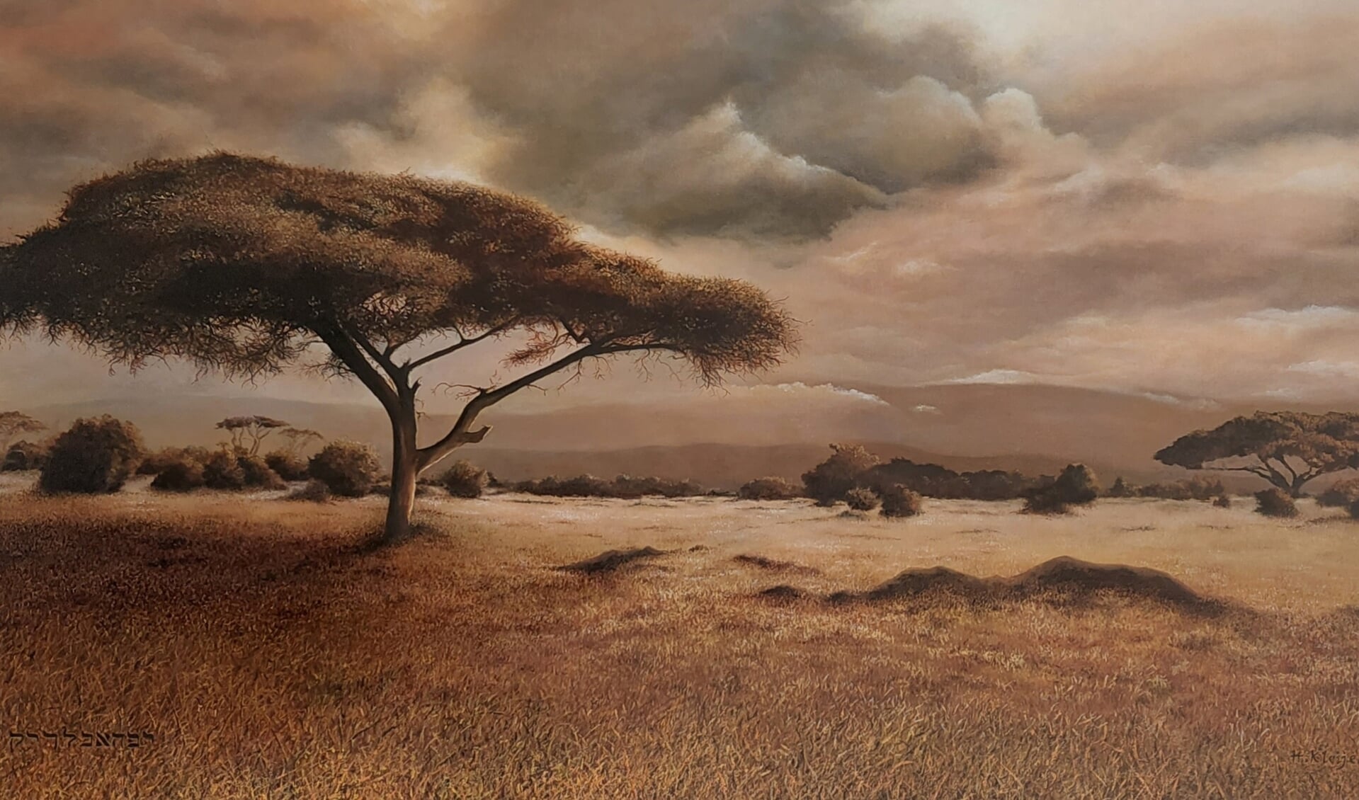 Henk Kleijer maakte een schilderij van de Savanne.
