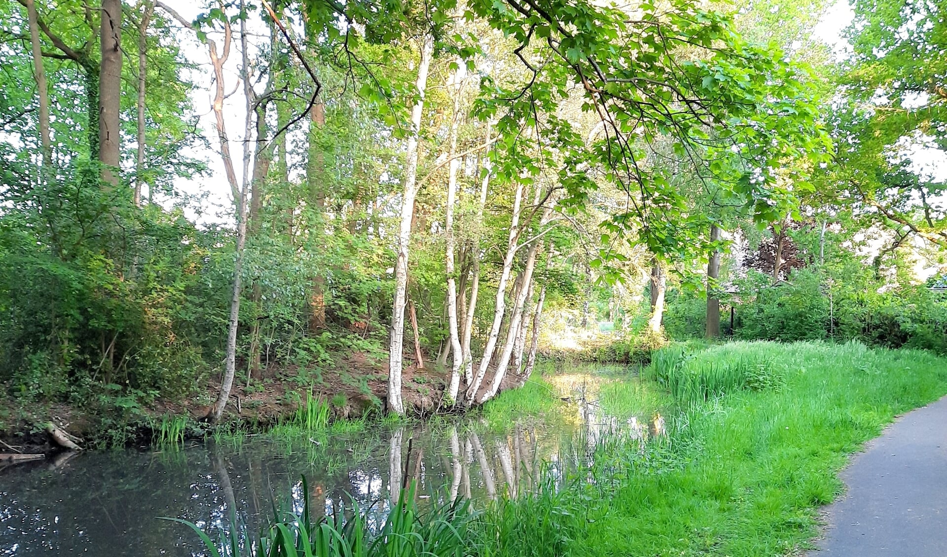 IVN houdt een groene wandeling door de wijk Stokhorst.