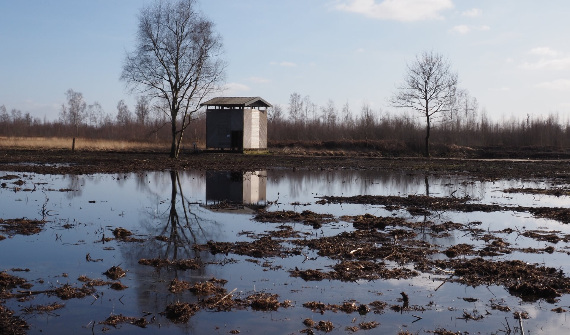 Een Natura excursie door het Aamsveen op woensdag 18 mei.