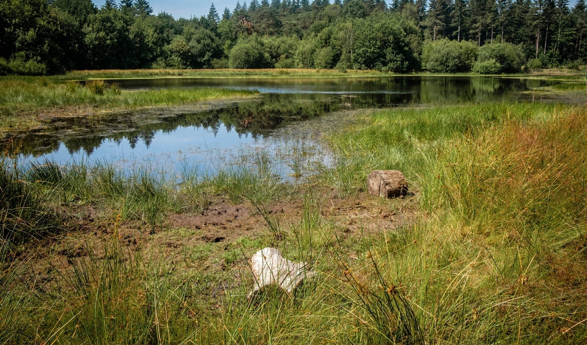 De Doorbraak is een waterrijk natuurgebied.