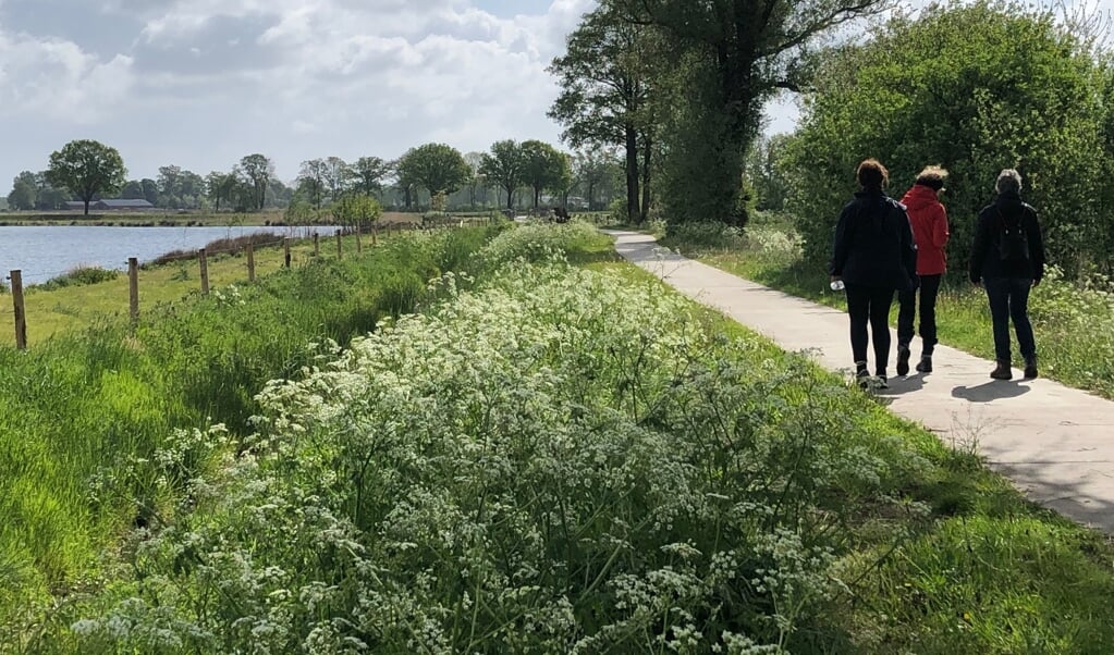 De twaalfde Fluitenkruidtocht is op zondag 29 mei.