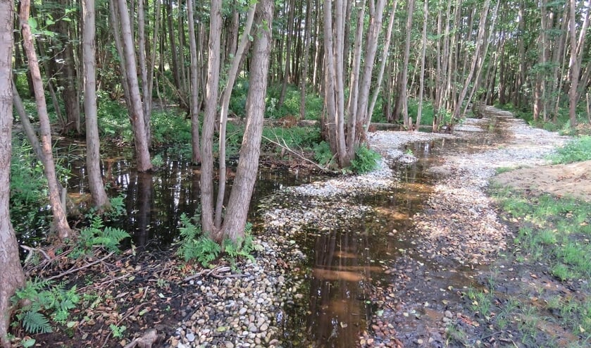 <p>Ga mee en ontdek de bronnen van de Mosbeek; een mooie wandeling onder leiding van een ervaren gids laat je de meest bijzondere plekken zien.</p>