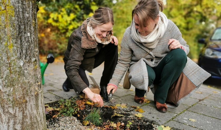 <p>Deelnemers kunnen via Groene Loper Enschede met een flinke korting biologische bloembollen aanschaffen.</p>