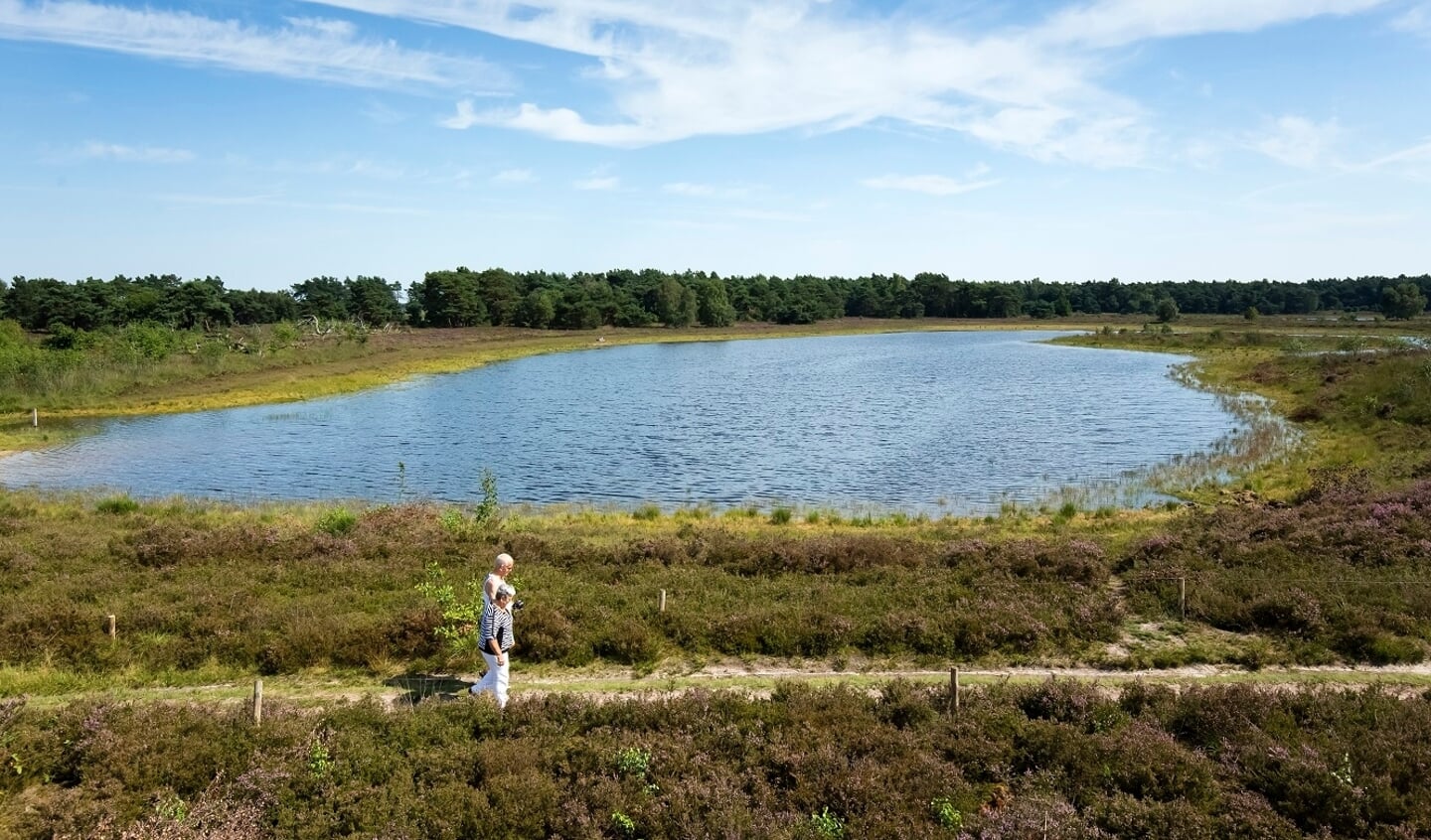 OpStap gaat op excursie in de Bergvennen bij Lattrop.