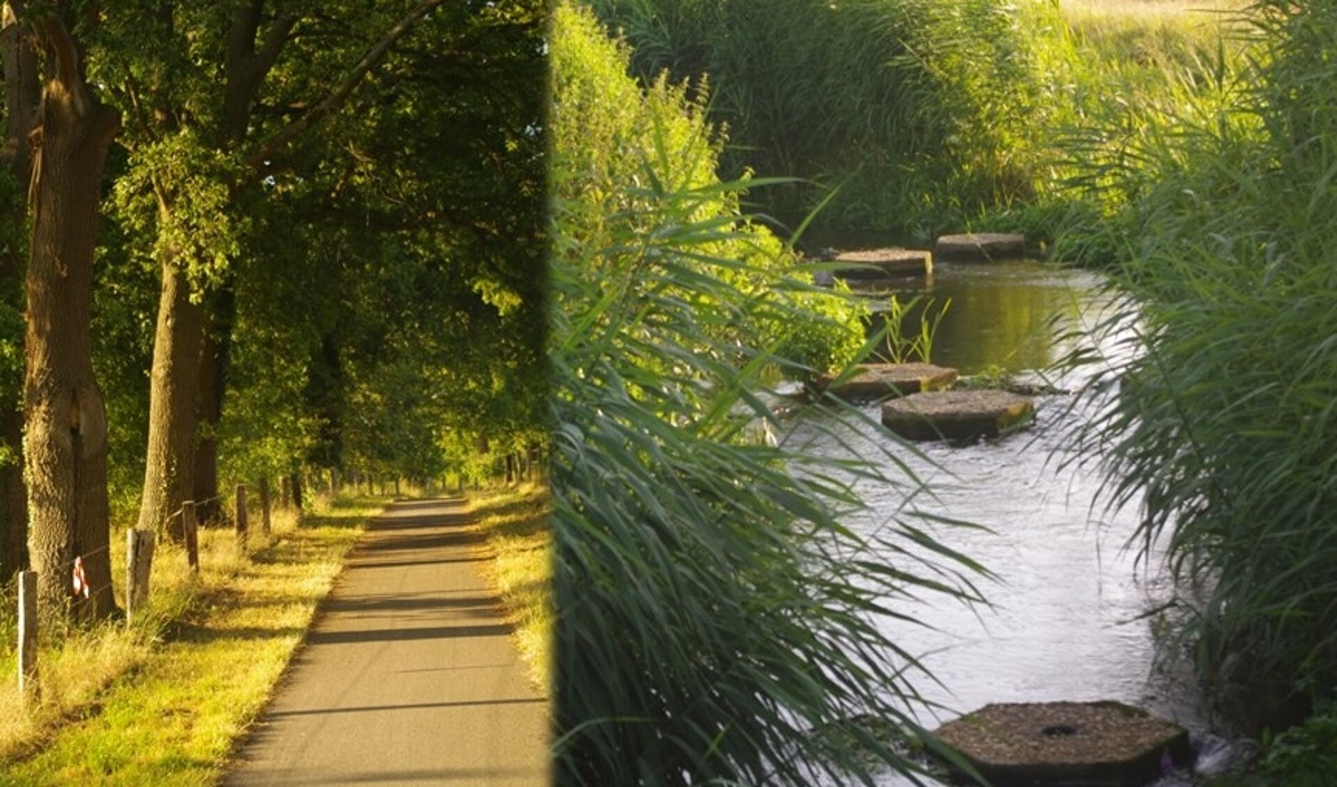 Ga je voor de gebaande paden of kies je liever een avontuurlijke route? In natuurlijk avontuurlijk Hellendoorn is alles mogelijk.