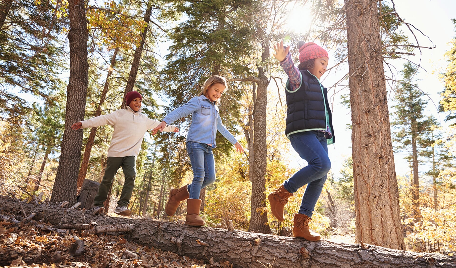 Children Having Fun And Balancing On Tree In Fall Woodland