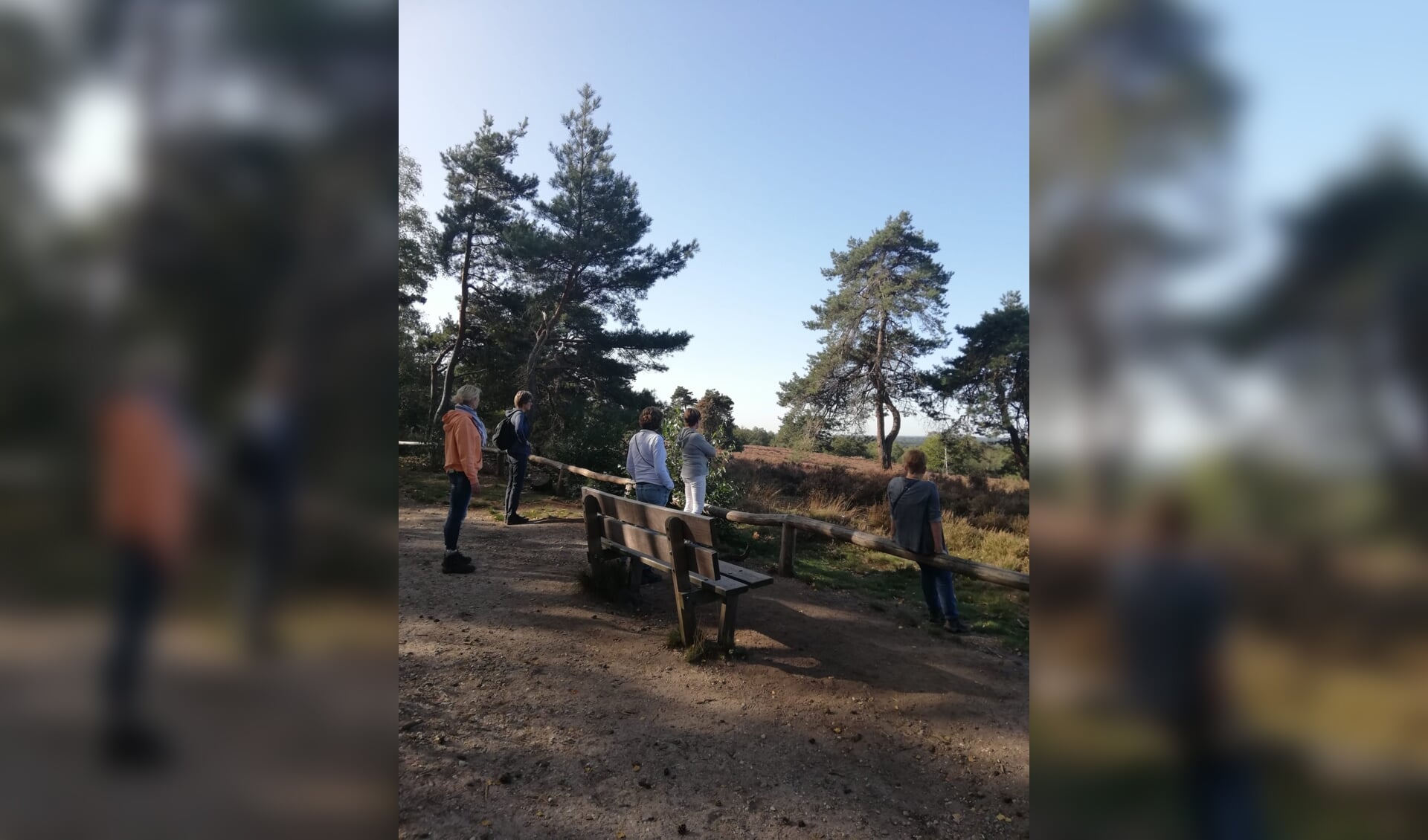 Wandeling over de Holterberg om samen te praten over het verlies van een dierbare