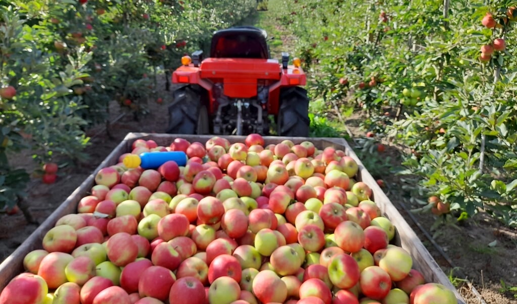 De appelverkoop is een jaarlijkse traditie. Met hopelijk ook in 2022 weer een mooie opbrengst voor De Schoof.