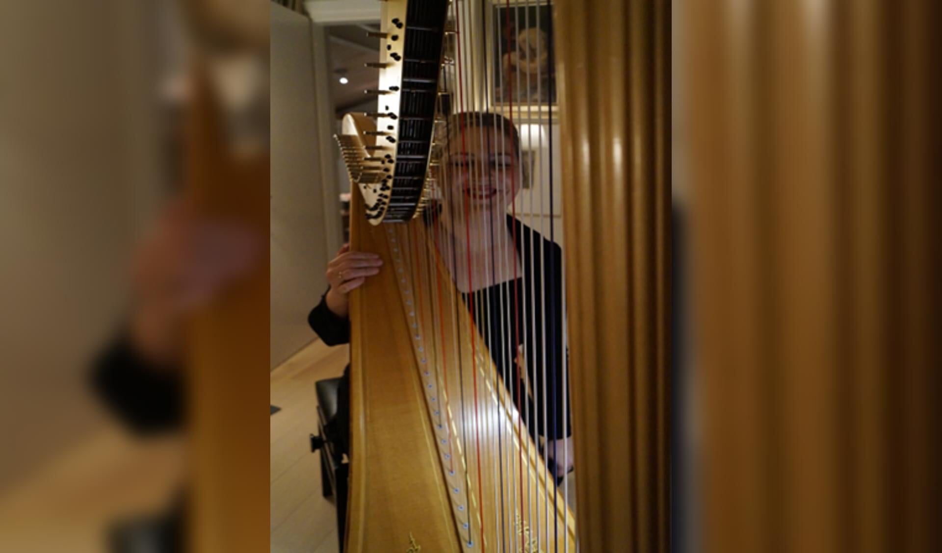 Joukeline Sizoo speelt de harp in een huiskamer op 5 februari 2020. Ze wordt begeleid door Marina Meerson op viool (niet op de foto).