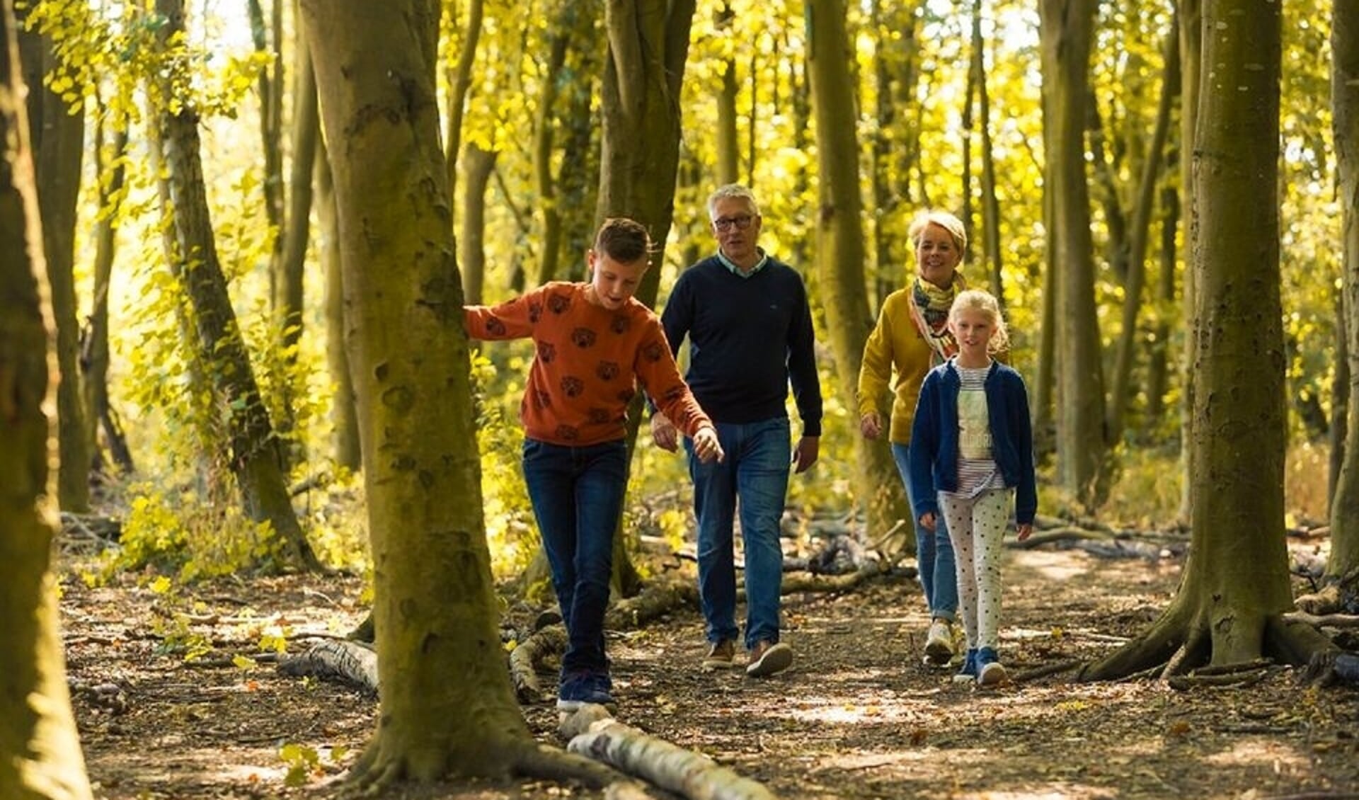 Wandelroute door de bosrijke omgeving van Hellendoorn.