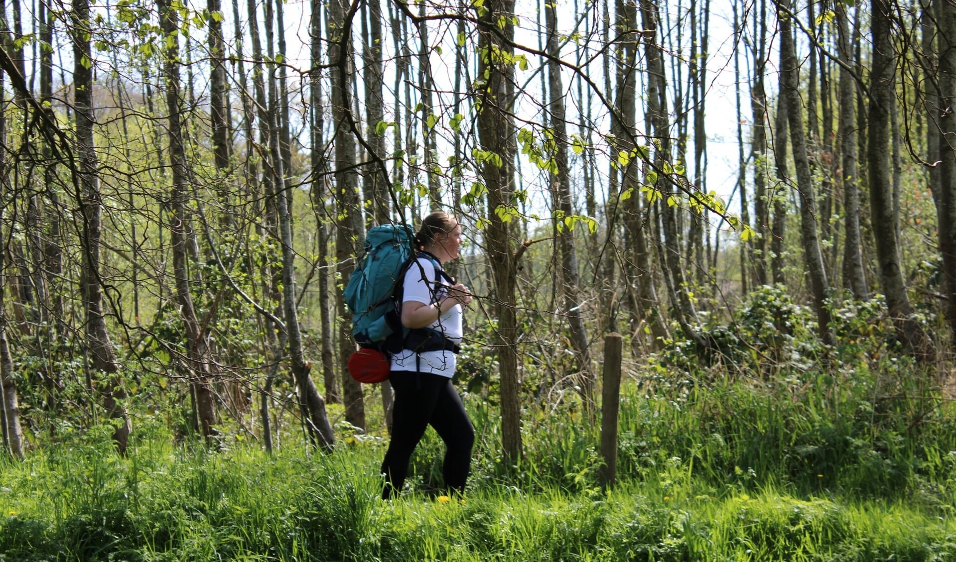 Rosalie van Blanken wandelt het Drenthepad af: 329 kilometer.
