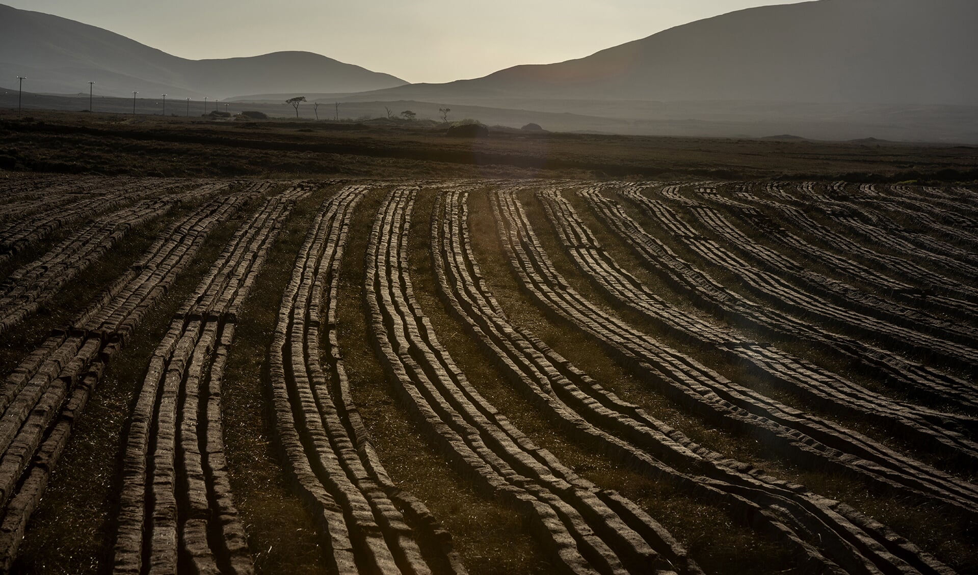 'PEAT'