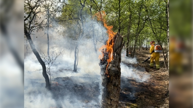 Veiligheidsregio Twente: Hoe houd je rekening met de natuur tijdens de droogte?