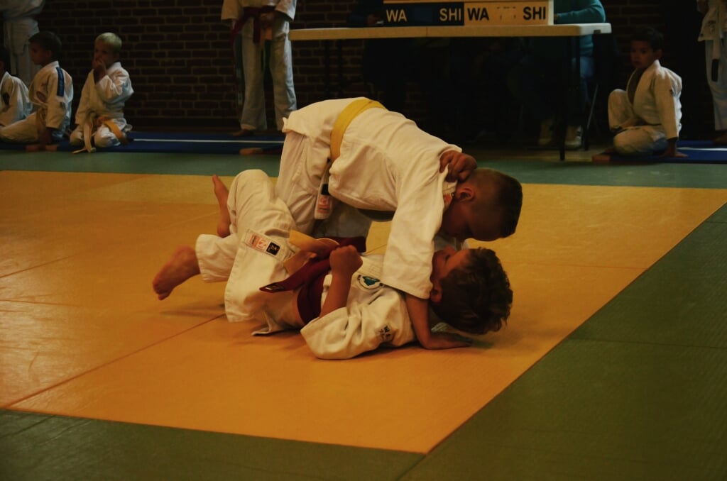 Judo Almelo vindt zich 'een gezellige vereniging'.