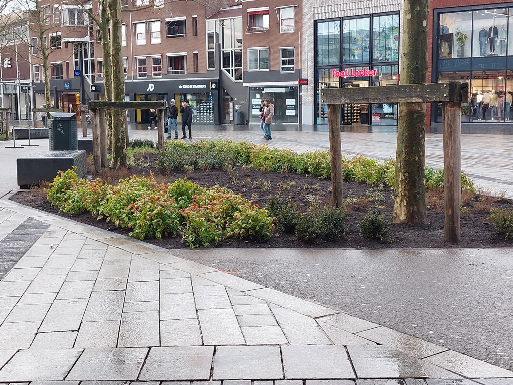 Gemeenten zoals Enschede zijn ook zelf bezig met vergroenen, zoals hier op het Van Heekplein het centrum.