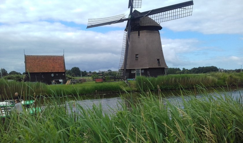 Hollands landschap  