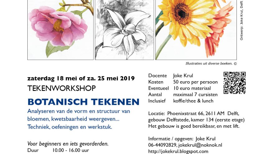 Beste Workshop Botanisch tekenen | Delftse Post BM-08