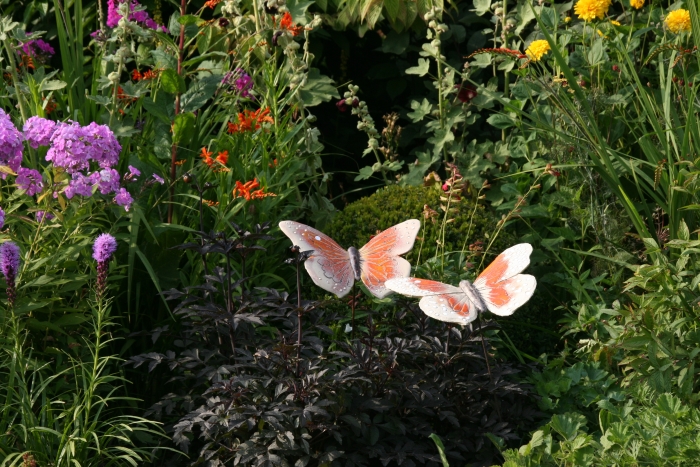 Nieuw Activiteit: open tuin en keramiek | IJssel en Lekstreek (Krimpen) VQ-53