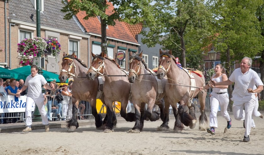 De familie De Brabander uit Evergem was in 2017 de winnaar bij de vierspannen.   