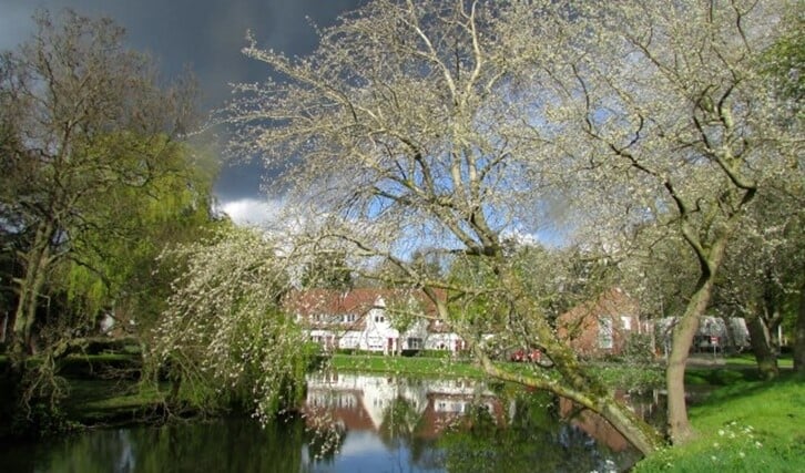Afbeelding