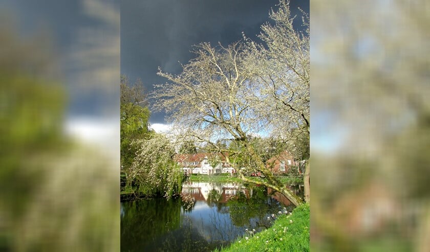 Afbeelding