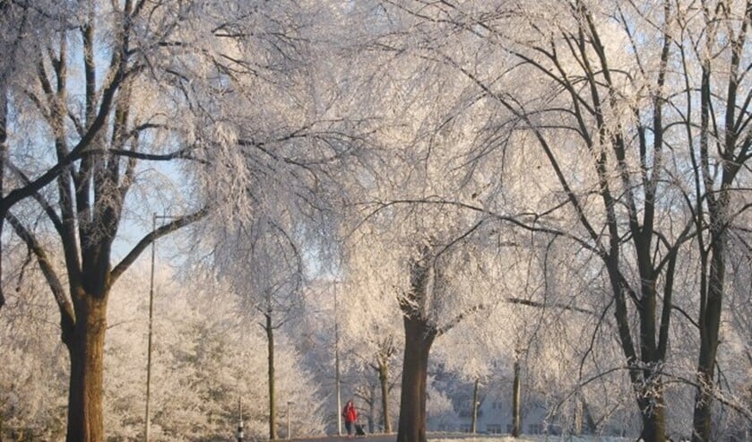 Tuindorp Vreewijk in wintertooi
