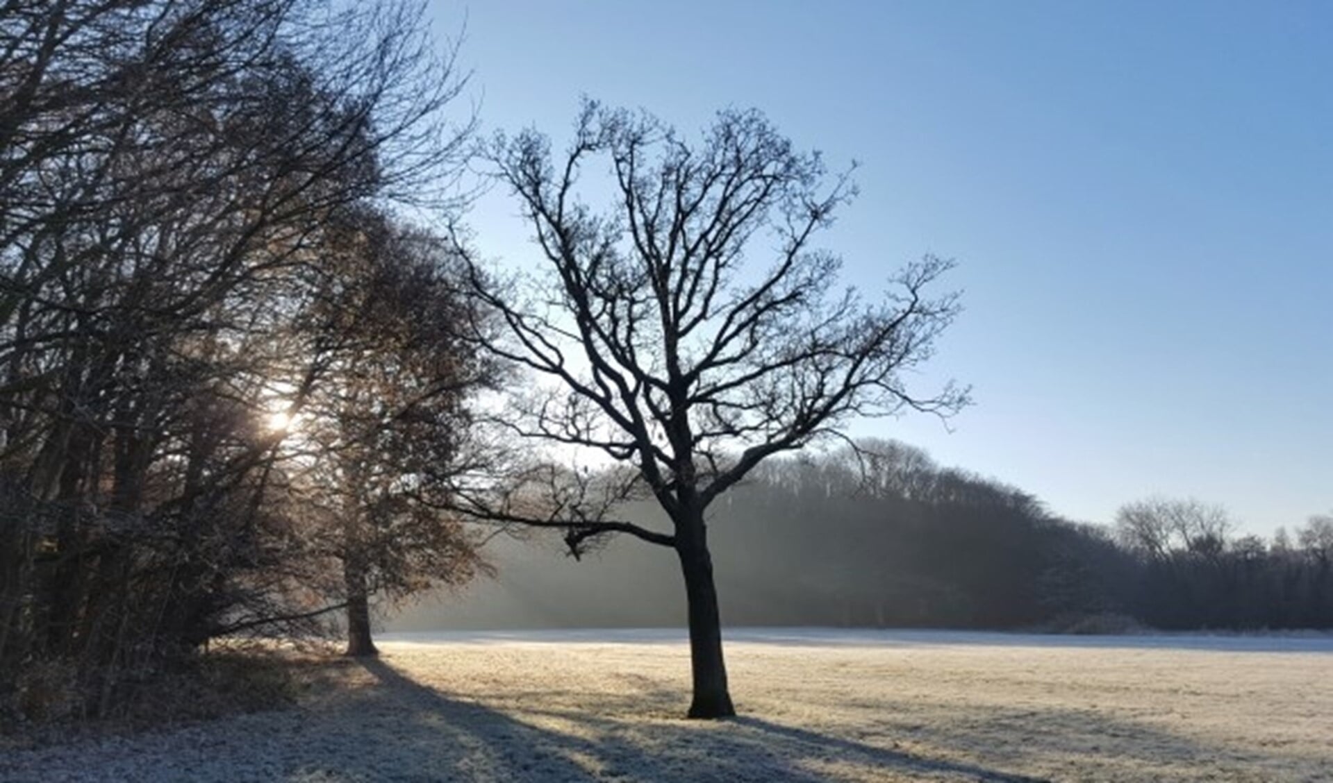 winterlandschap Kralingse Bos