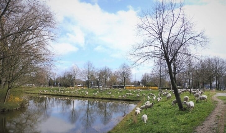 Afbeelding