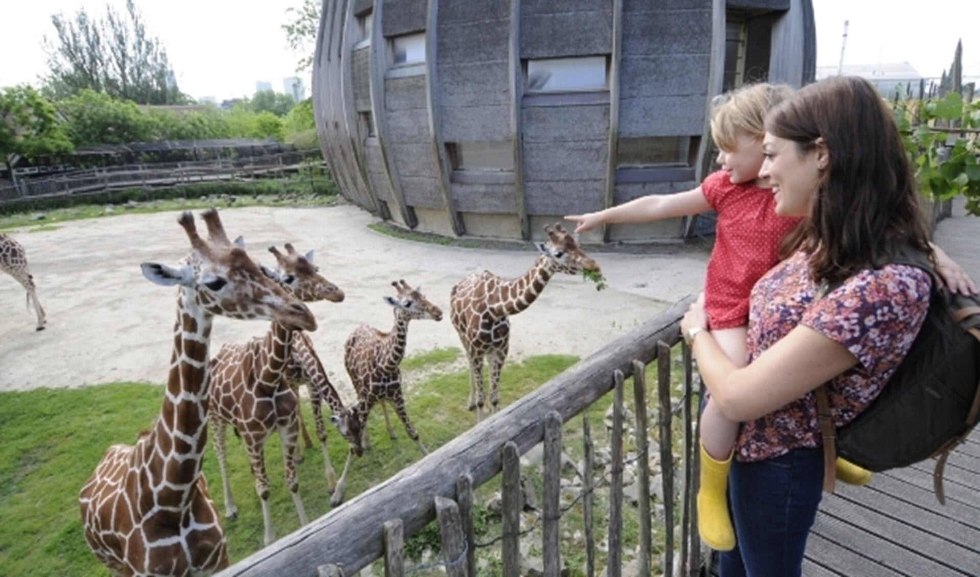 Abonnementhouders en dagbezoekers zijn vanaf 3 juni weer welkom in Blijdorp.