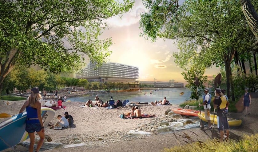 Een strand aan de Rijnhaven. Beeld uit het ontwerp.