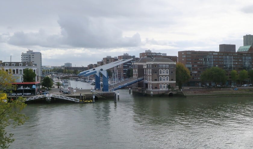 <p>Foto: @MSNoordereiland</p>