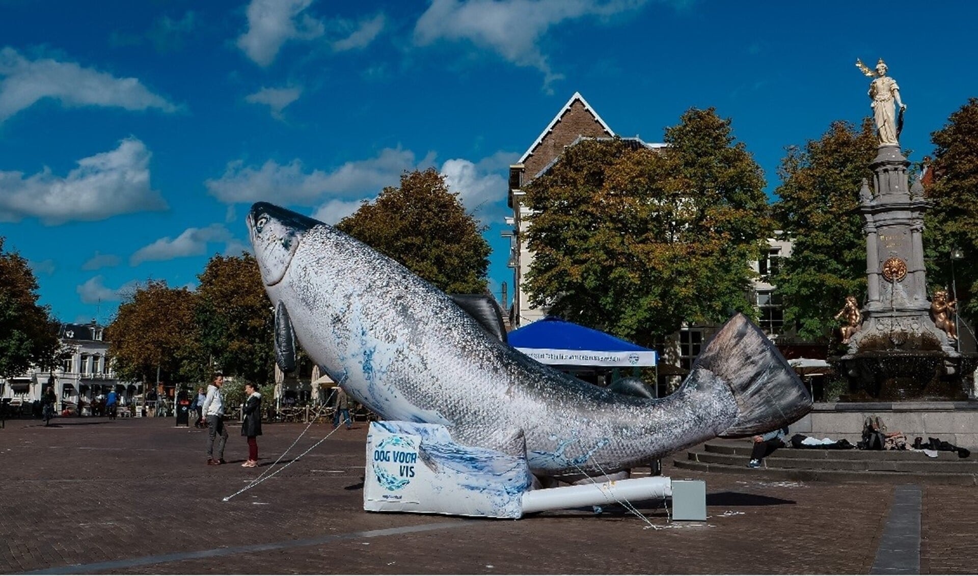 Blue de reuzenzalm reist door Nederland, morgen komt de gigantische vis naar Rotterdam.