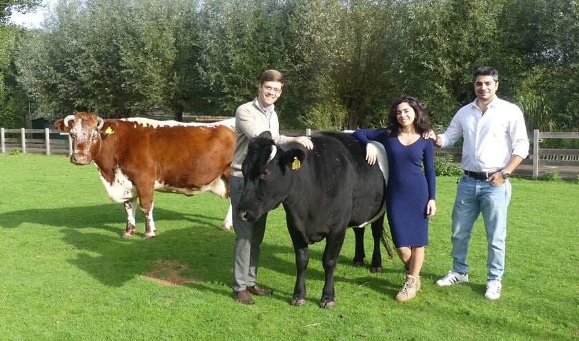 <p>Als trio (Hande, Kerem en Alexander) runnen zij het zuivelbedrijf. Foto: Greentellers</p>