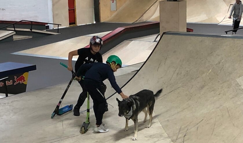 <p>Overdag let Doekie er in Skateland een beetje op dat de kinderen geen al te gekke dingen doen.</p>