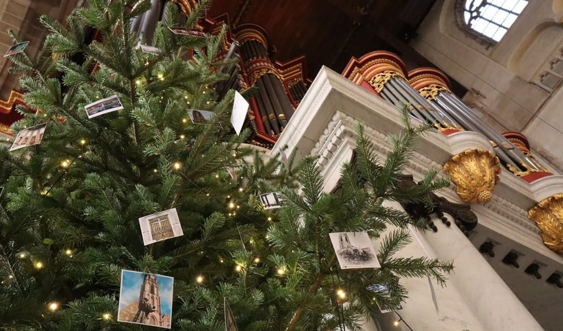 De boom wordt opgetuigd met Instagramfoto’s. 