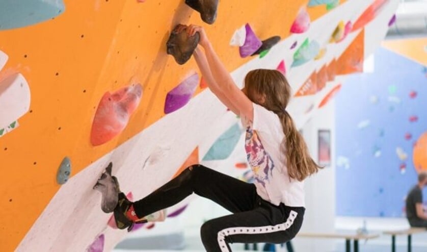 Foto: Beest Boulders Rotterdam