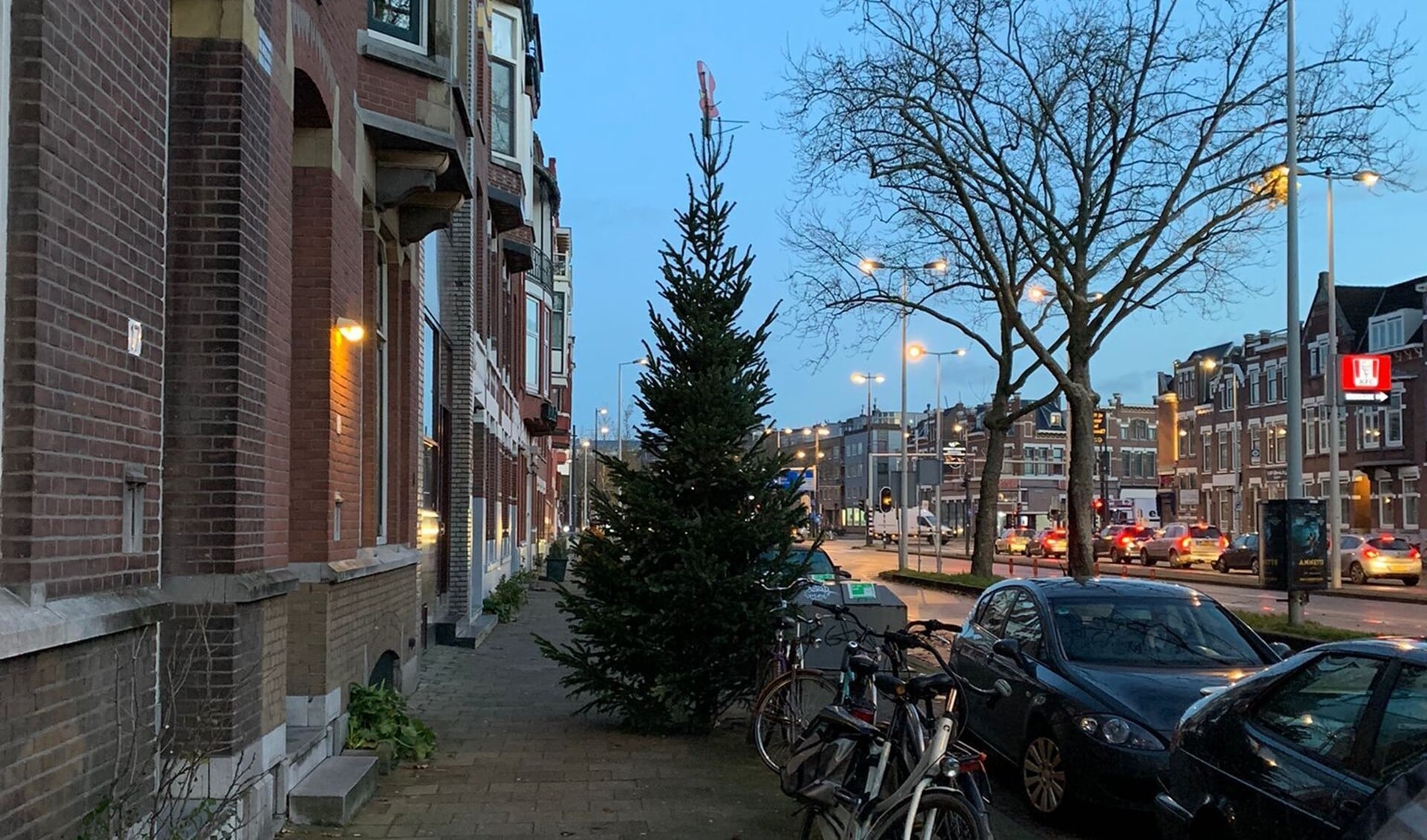 Overal in de stad duiken kerstbomen op. 