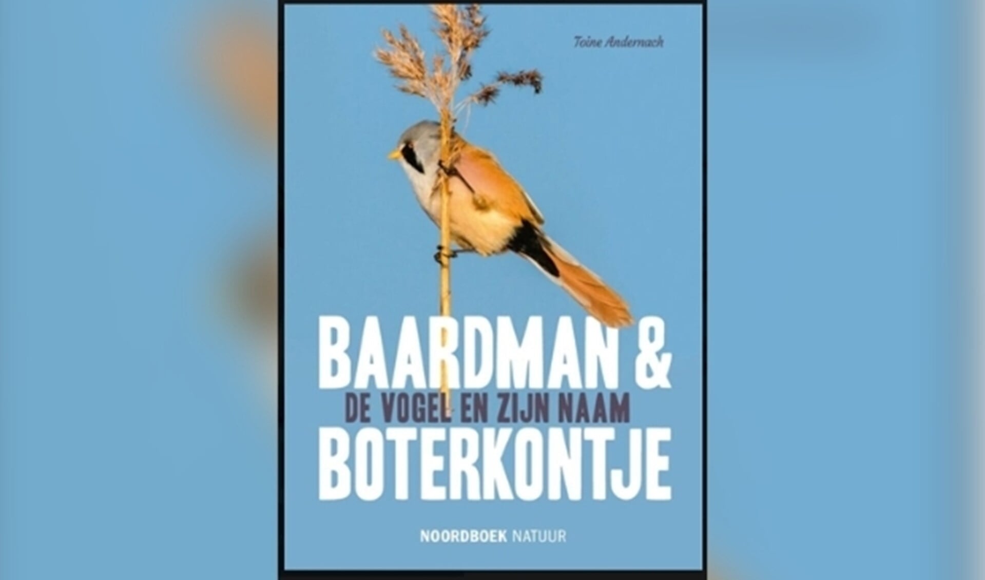 Foto boek Baardman & Boterkontje