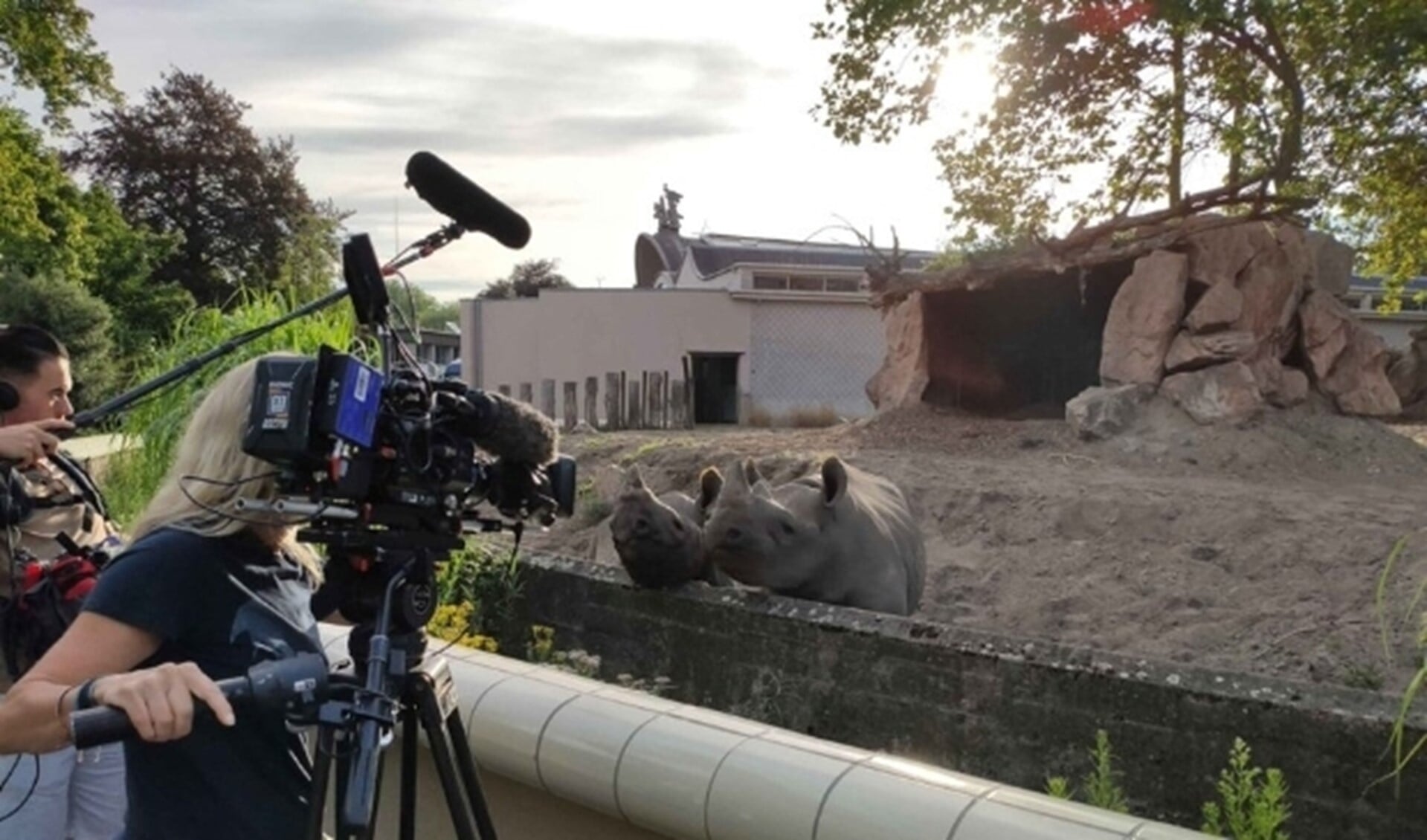 De tv-serie ‘Het echte leven in de dierentuin’ is deze zomer terug op tv. Dit seizoen leggen de verborgen camera’s het dierenleven in Diergaarde Blijdorp vast. 