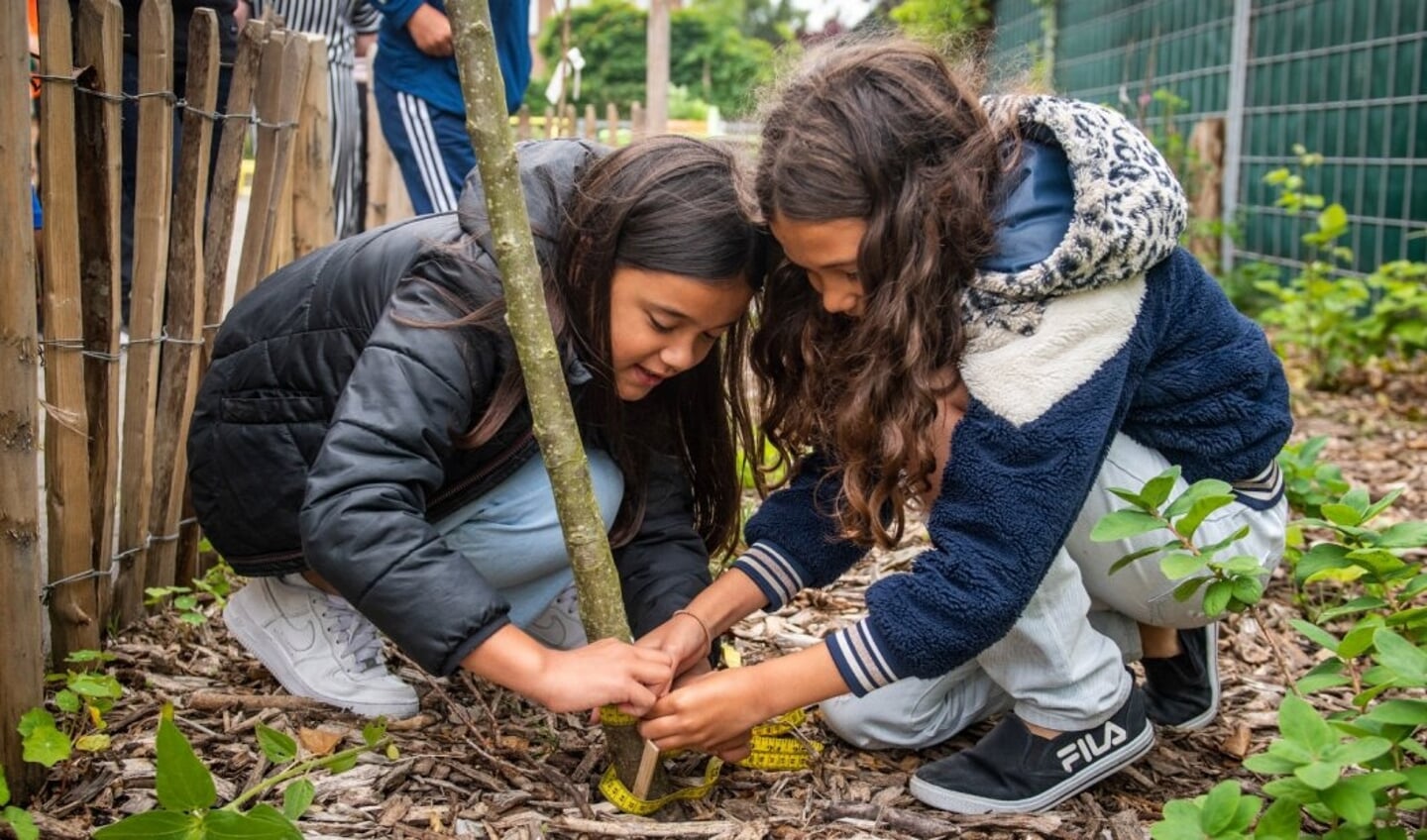 Foto: Kinderen meten de beplanting van een Voedselbosje. Foto: Fos Fotografie