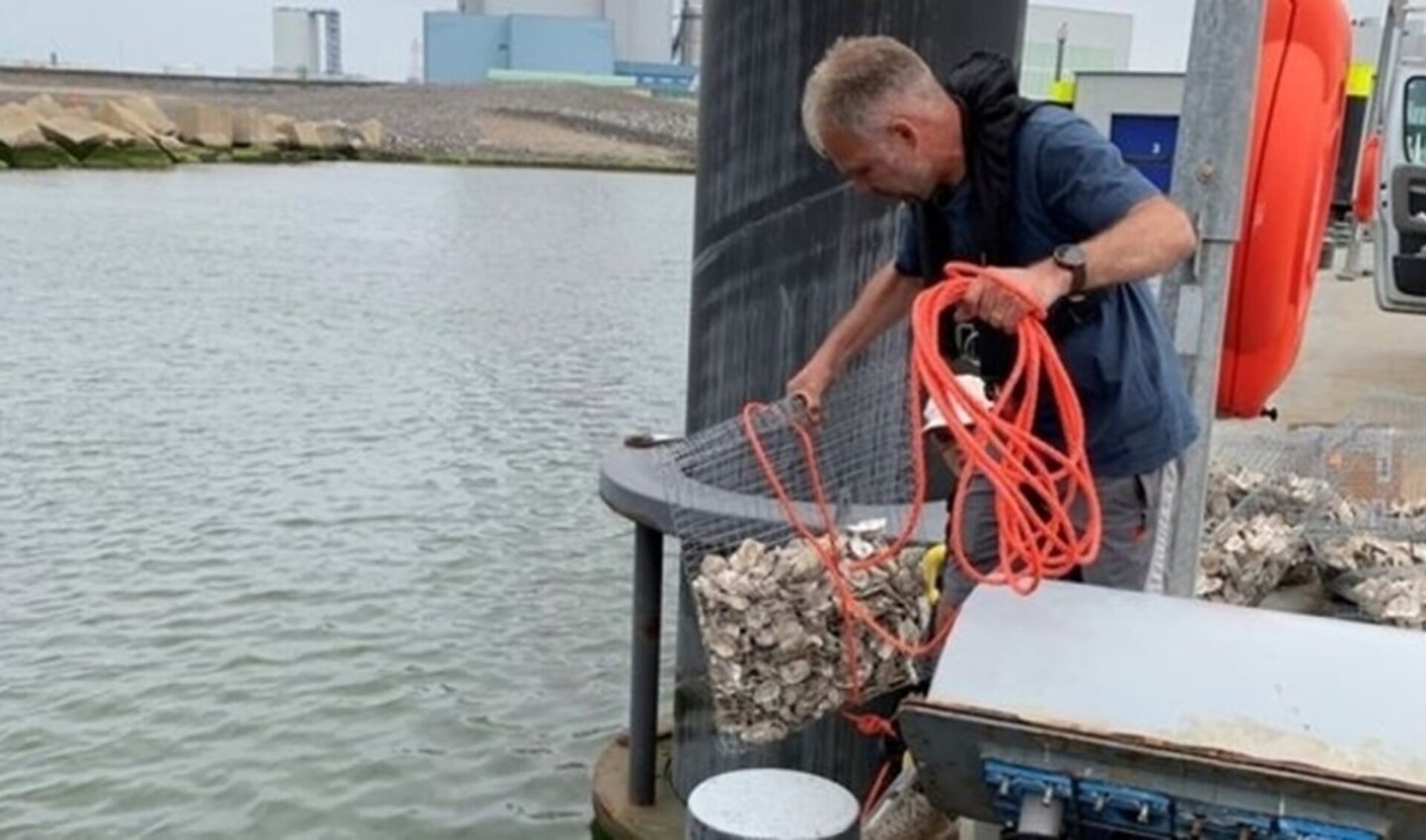 Archiefbeeld: ARK'er Gijs van Zonneveld laat een 'tas' met lege oesterschelpen te water. Foto: Port of Rotterdam 