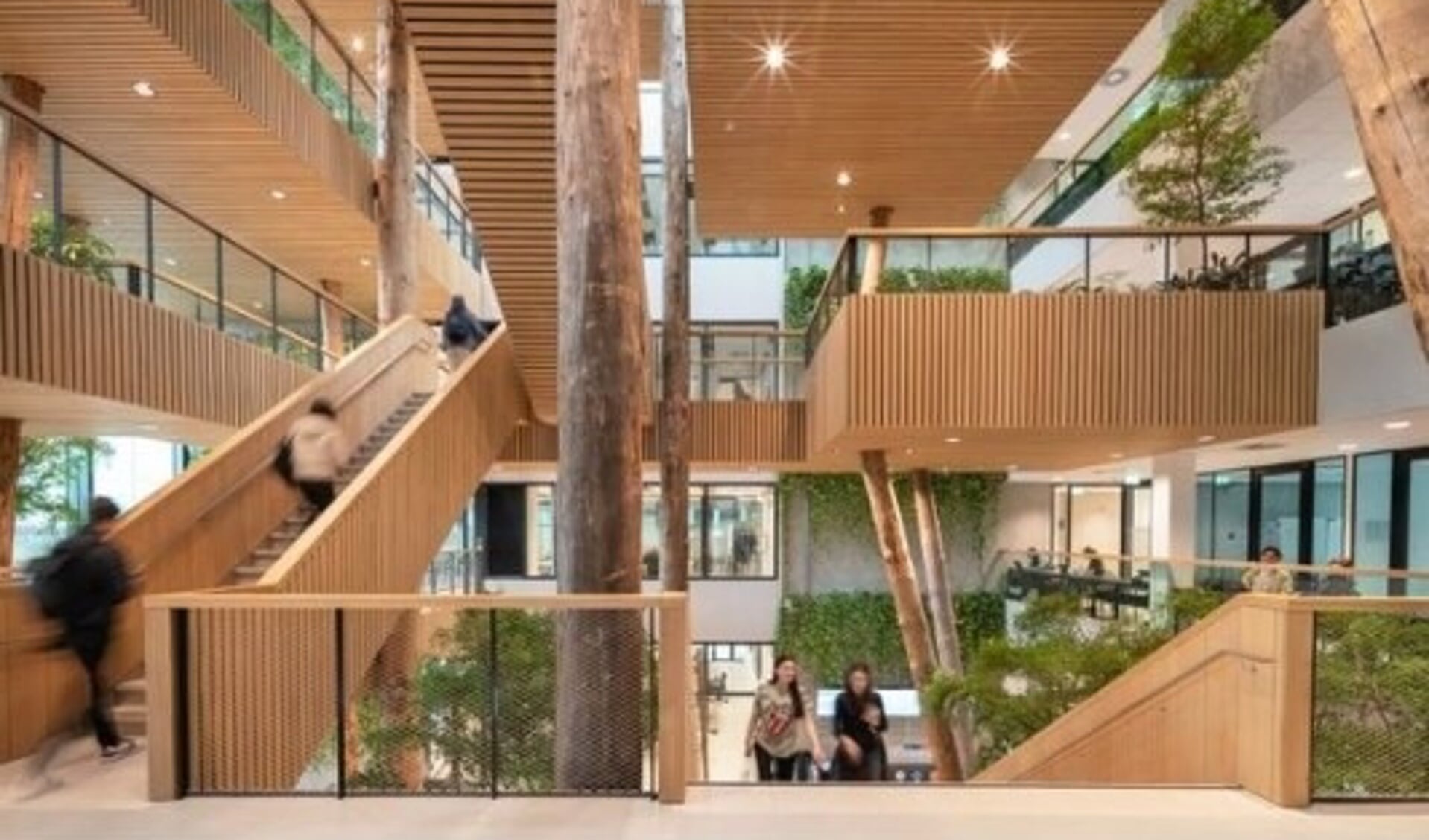 Kenmerkend zijn de groene studieomgeving en de houten boomhut in het atrium. Foto: Aiste Rakauskaite