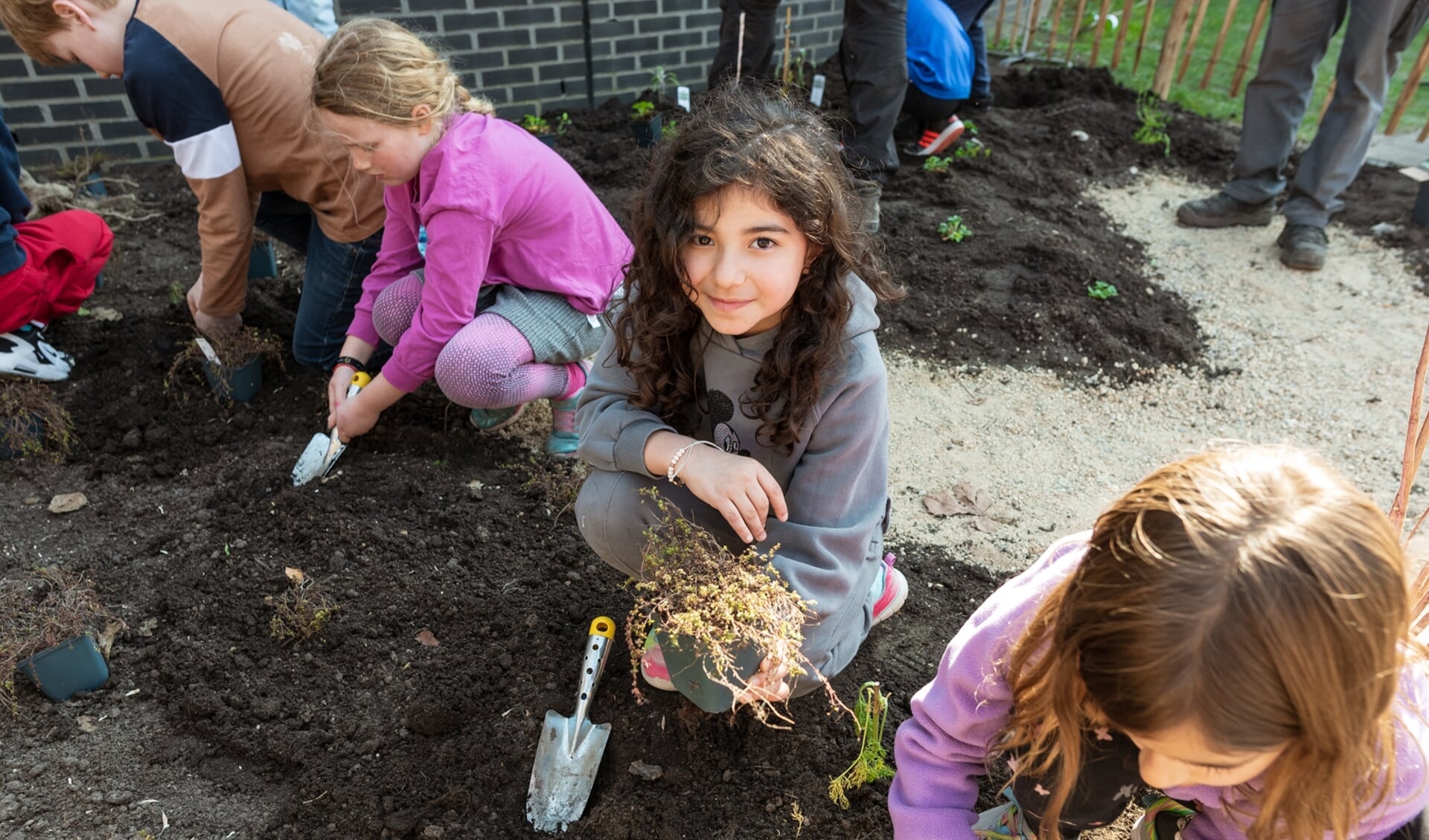 Leerlingen van de Nord Anglia International School Rotterdam planten het eerste Voedselbosje van Rotterdam bij hun school aan de Verhulstlaan.  Foto: Caro Linares