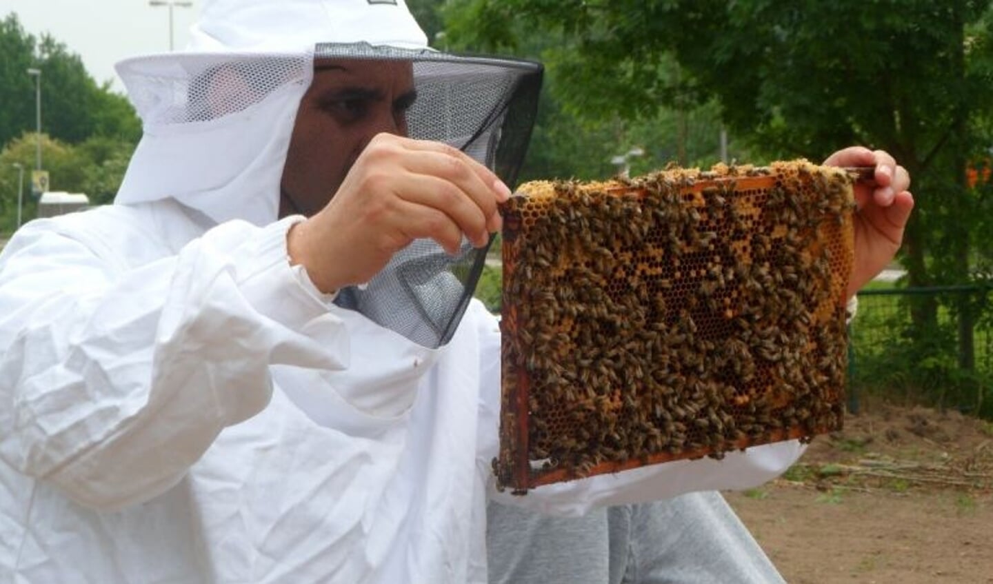 Je komt op deze dag alles te weten over het functioneren van een bijenvolk. Foto's: ambrosiusgilde.nl