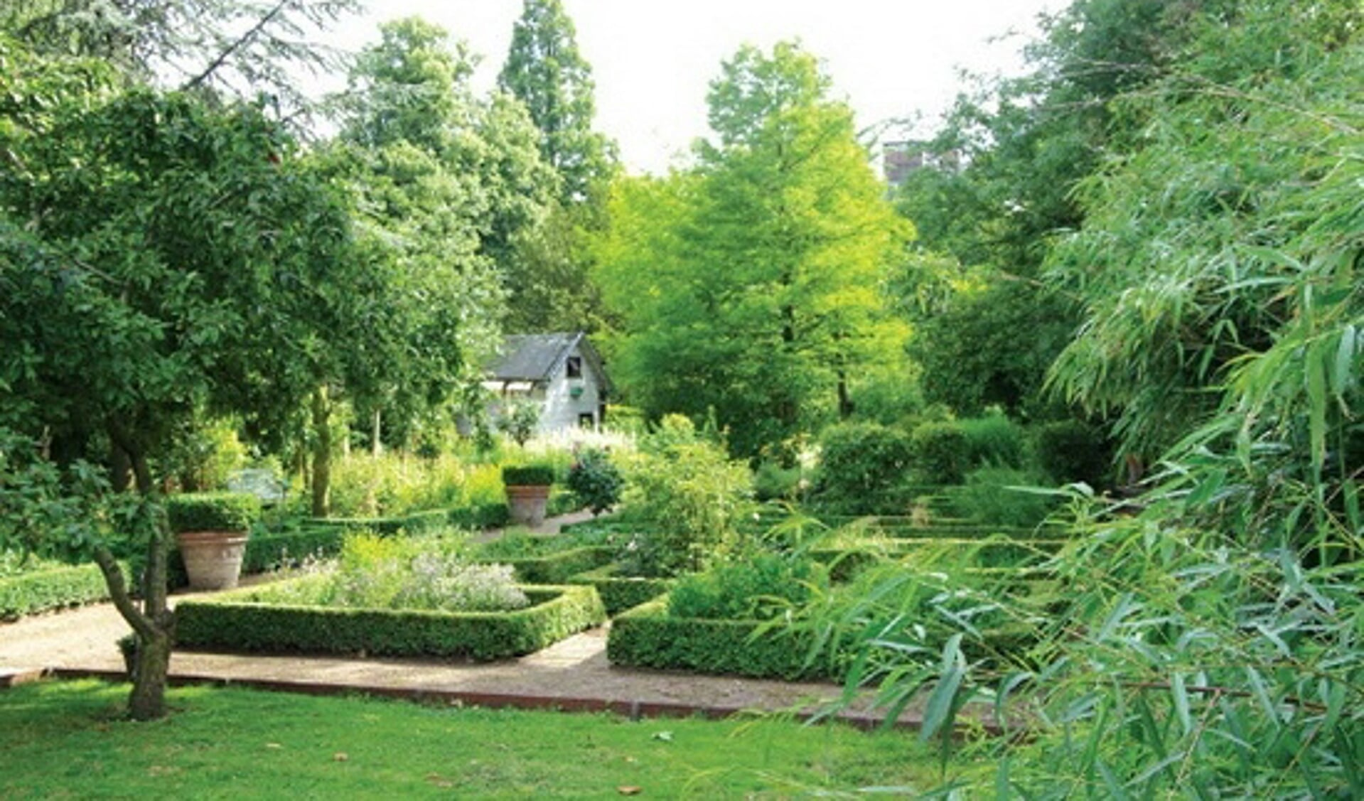 De botanische tuin aan de Cederstraat in Kralingen. Foto: Natuurlijk Rotterdam
