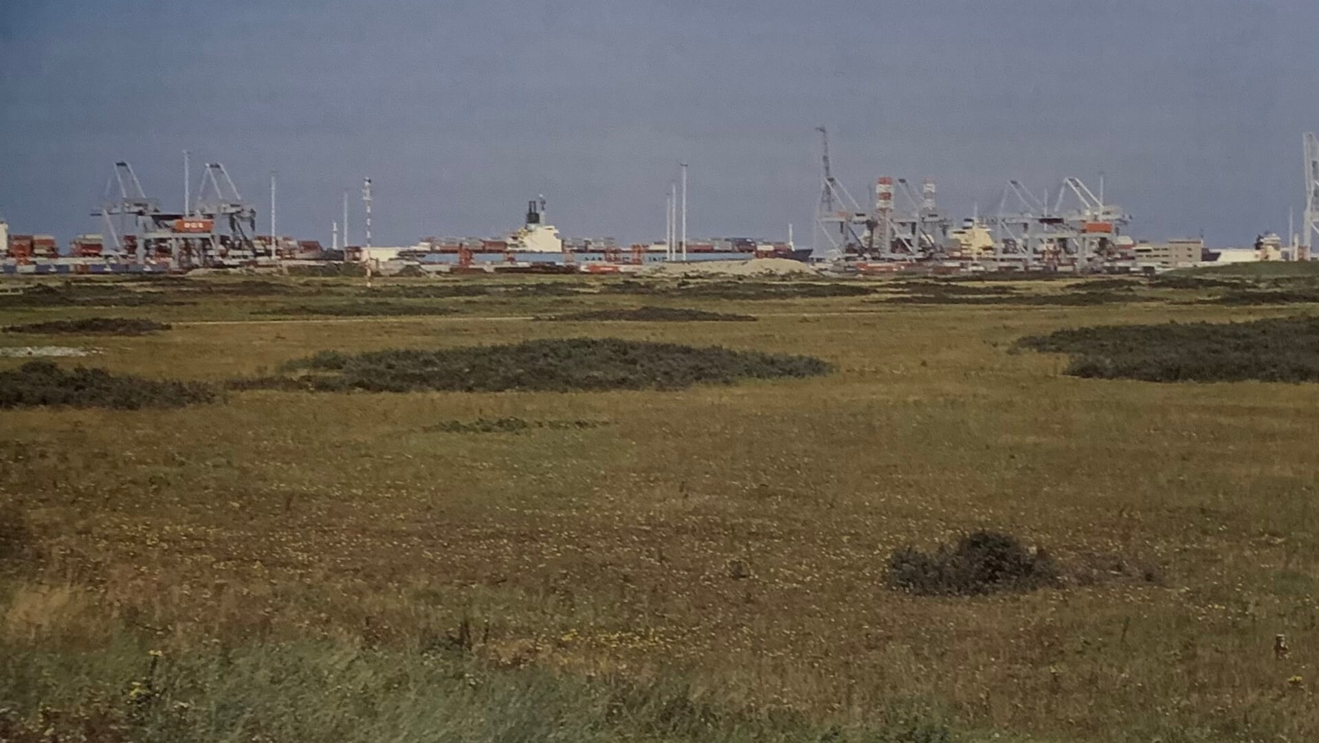 Midden jaren negentig kende de (Eerste) Maasvlakte nog enkele open gebieden voor de vestiging van grote bedrijven. Foto: Henk van Brugge.