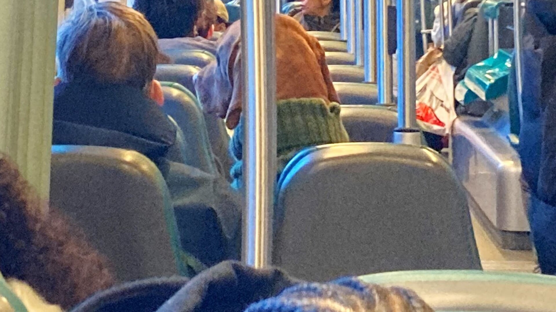 'Er zit gewoon een hond met een trui op een stoel in de tram en dat is het droogste dat ik ooit heb gezien.' Foto: Wouter Vocke