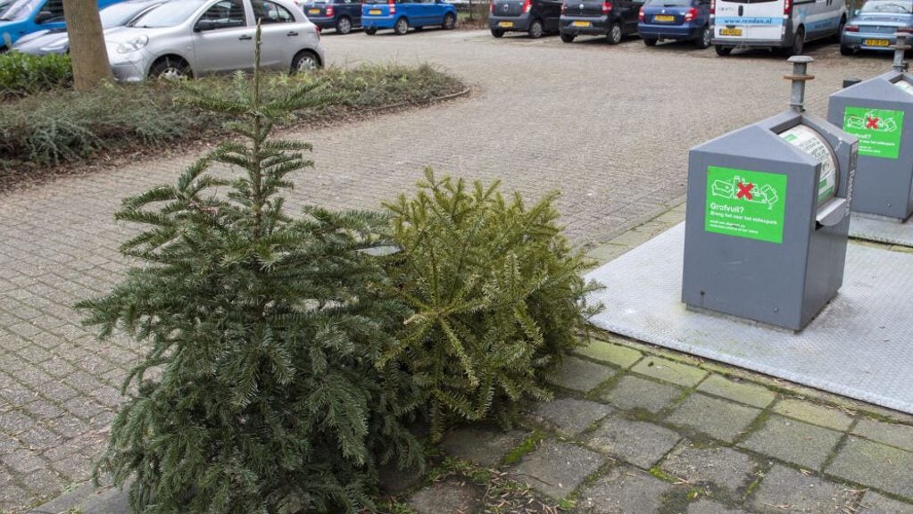 Kerstboom inleveren en geld voor je vereniging verdienen Adverteren