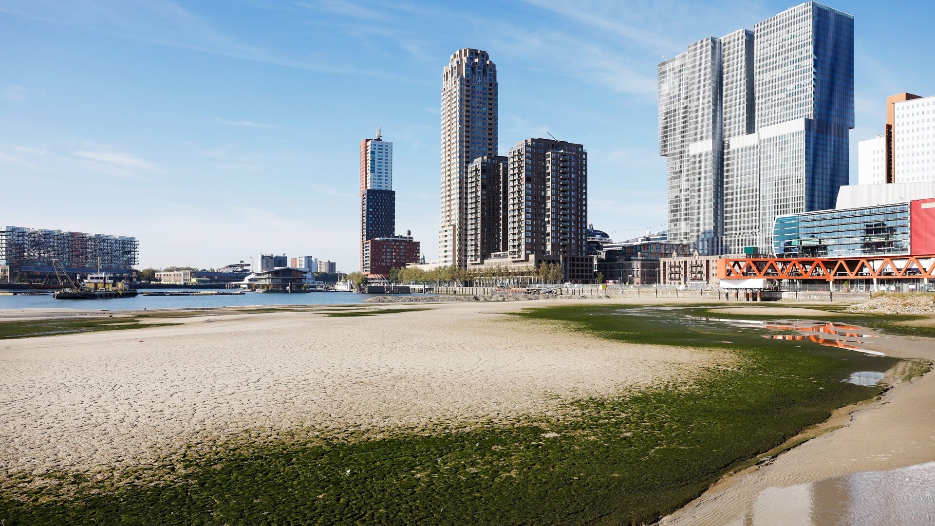 Iedereen kan zien hoe er op dit moment een strand ontstaat in de Rijnhaven. Maar er gaat veel meer veranderen. Foto: Gemeente Rotterdam