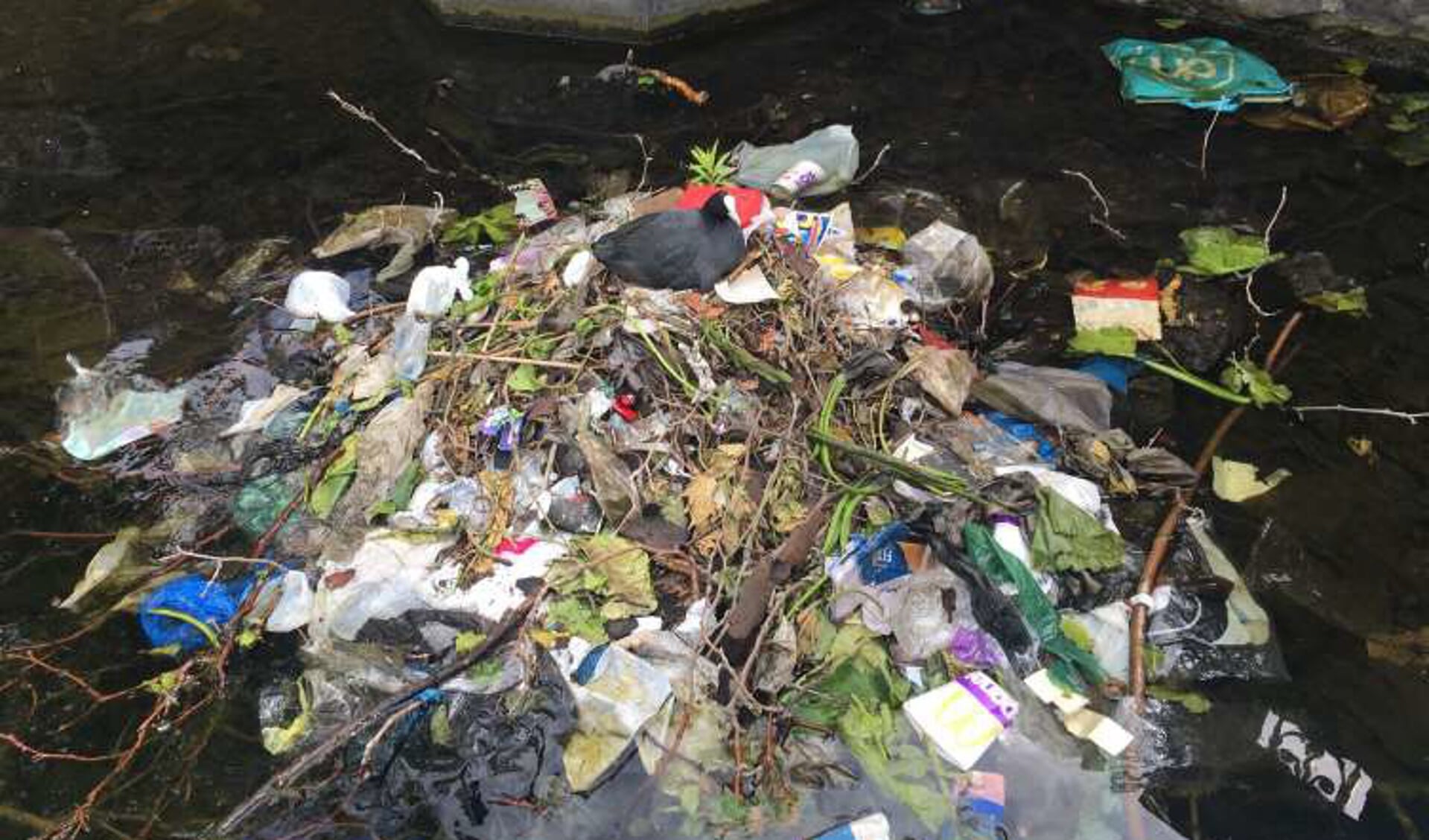 Zo zagen Rotterdamse nesten er veel te vaak uit. Foto: World Port Clean Up